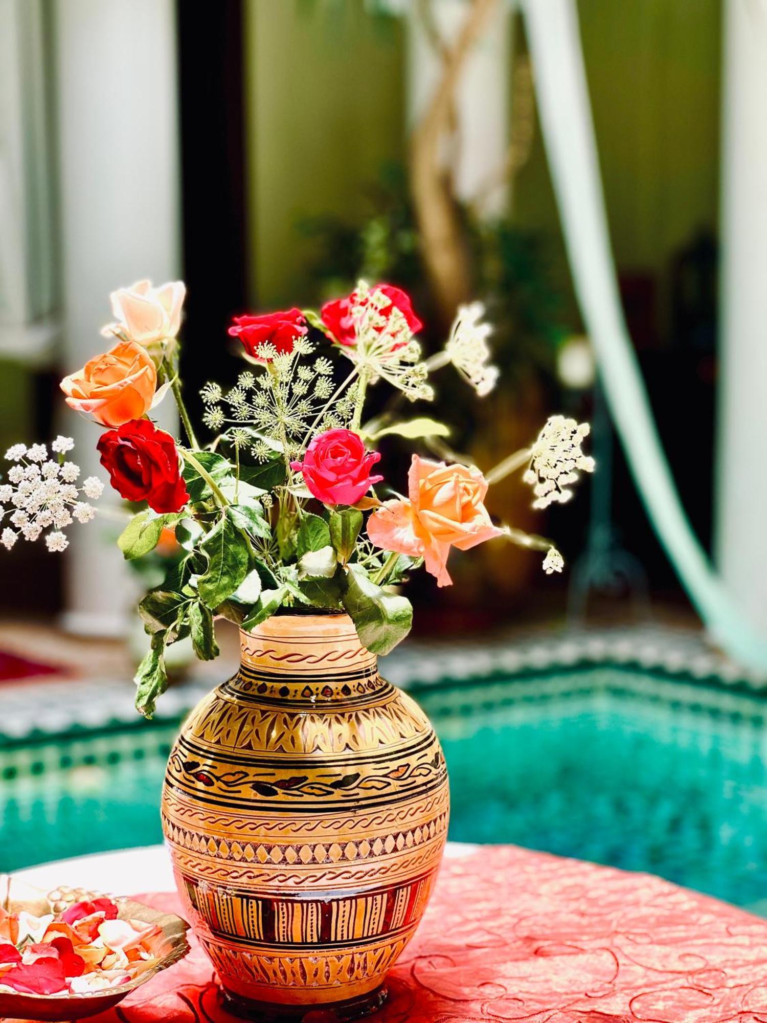 Alida Riad 3*