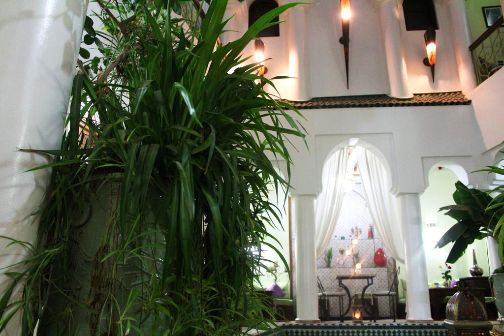 Alida Riad Marrakesch